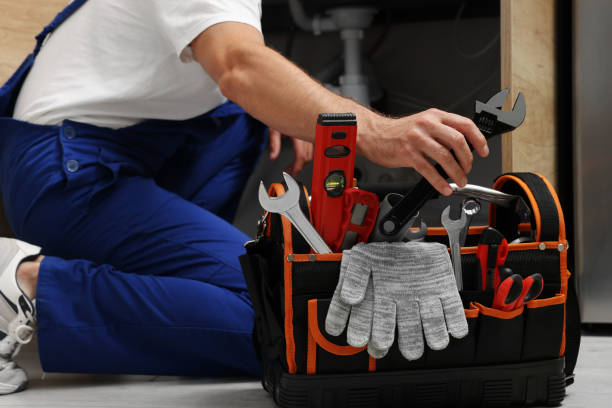 Best Same-Day Plumbing Service  in Vienna, GA